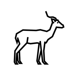 Fototapeta premium Impala