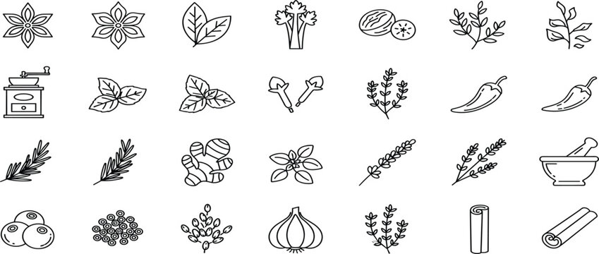 Collection of spice, herb, and plant icons, including flowers, herbs, and kitchen ingredients, vector design