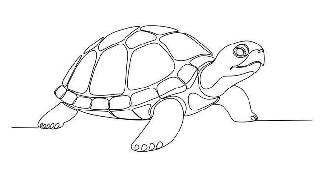 A continuous line drawing depicts a detailed sea turtle with a patterned shell and a curious expression facing forward against a white background.