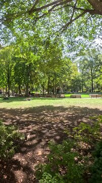 Footage of Rittenhouse Square in Philadelphia Pennsylvania USA