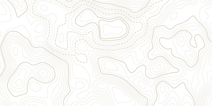 Light topographic topo contour map background. Geographic abstract grid. vector illustration.Luxury abstract Topographic line map.Pattern of contour lines.

