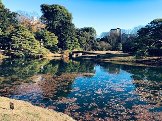 Rikugien Garden Tokyo Winter Pond with Stone Lantern and Fallen Leaves Japan © komoisbusy