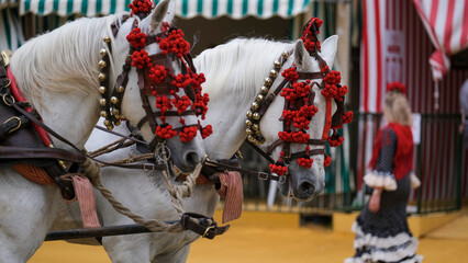 Obraz premium Caballos andaluces en la Feria de Sevilla