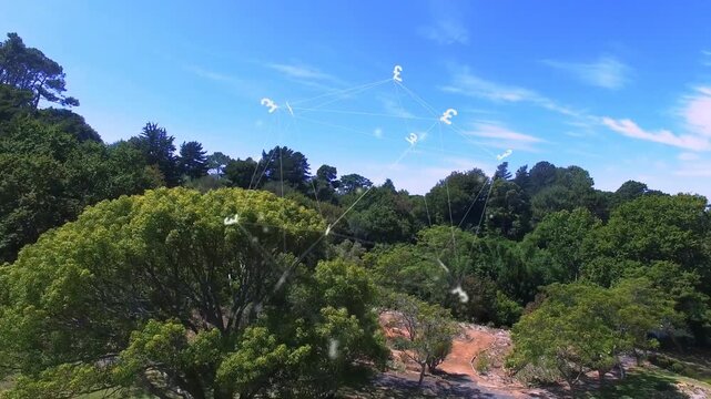 Big canopy tree filling left while glyphs appearing on start, forming net above trees, mapping tech