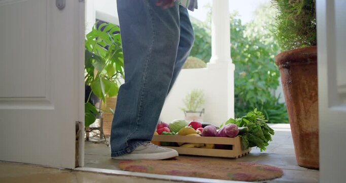 Mature African American male spotting crate on doormat, bending and carrying produce into house