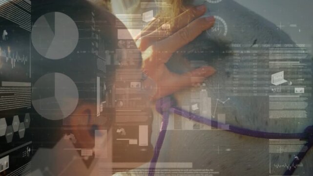 Equestrian handler approaching horse head placing hand and inspecting while data overlays fading