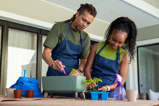African American couple repotting seedlings on covered patio using pink trowel wearing denim aprons