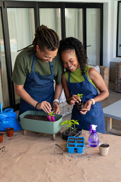 African American couple potting seedlings on patio wearing matching blue aprons with pink trowel