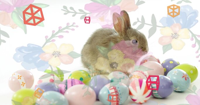 Sitting small brown rabbit among pastel eggs on white table, showing floral overlays and cube icons