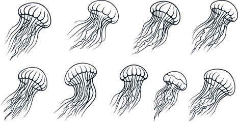 Set of eight jellyfish illustrations in linear style on transparent background. © Sadhin