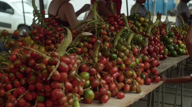 Pupunha Amazonia, fruta Pupunha do brasil