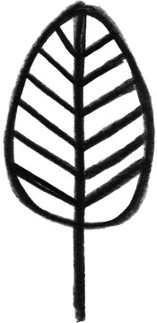 Monochrome Leaf Illustration: A minimalist ink drawing captures the essence of a single leaf, highlighting its delicate structure and natural form. 