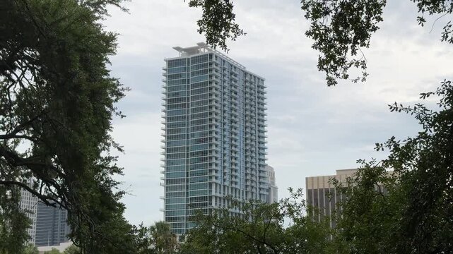 The towering high-rise building stands prominently against a soft overcast sky. Thick textured tree limbs with green leaves create a natural circular frame around the urban architecture.