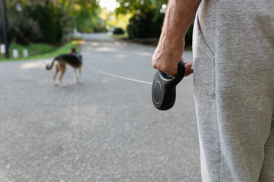 Close-up of a senior man's hands holding a retractable leash in a sunny neighborhood. Walking his dog on a bright afternoon with copy space. Elderly lifestyle and healthy activity