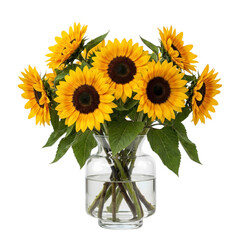 Obraz premium Vibrant bouquet of sunflowers in a clear glass vase on transparent background
