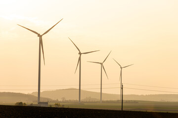Fototapeta premium Wind turbines stand in a row against a soft sunset sky over a rural landscape