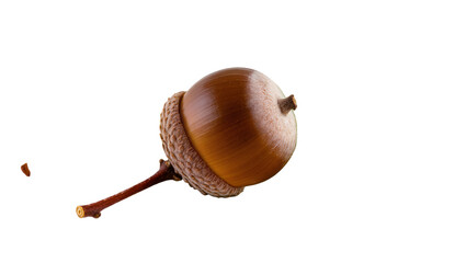 Brown acorn with textured cap and stem, isolated on transparent background © Bogdan
