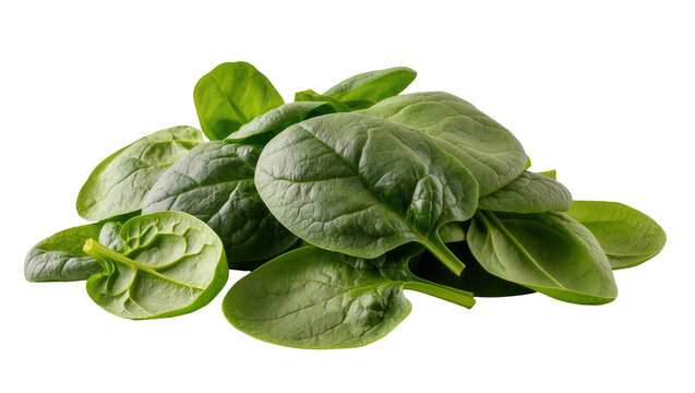 Pile of fresh green spinach leaves, isolated on transparent background