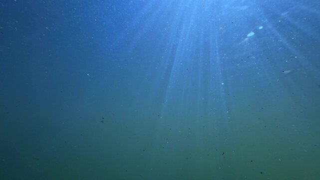Underwater river flow with macro particles plants and decaying organic matter shown in slow motion with split view of surface and subsurface