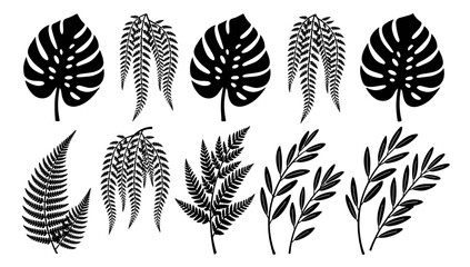 A minimalist depiction of a fern frond, perfect for backgrounds or adding a natural, organic element to designs. Evokes tranquility and simplicity. © tordi