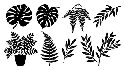 A minimalist image of a fern in a black pot, perfect for conveying concepts of growth, nature, and calm. Ideal for wellness branding or interior desig © tordi
