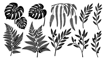 A striking black and white silhouette of a fern branch. Perfect for minimalist designs, nature-themed content, or adding an organic element to backgro © tordi