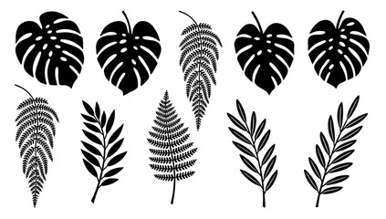 A striking black and white illustration of a fern leaf. Perfect for botanical designs, nature-themed backgrounds, or adding a touch of organic eleganc © tordi
