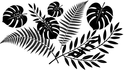 A minimalist image featuring a fern leaf silhouette against a clean white background. Perfect for botanical themes, wellness branding, or as a subtle  © tordi