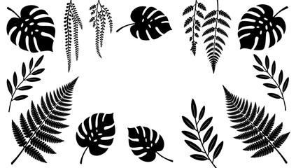 A striking black and white silhouette of fern leaves evokes a sense of natural serenity. Ideal for botanical designs, wellness branding, or minimalist © tordi