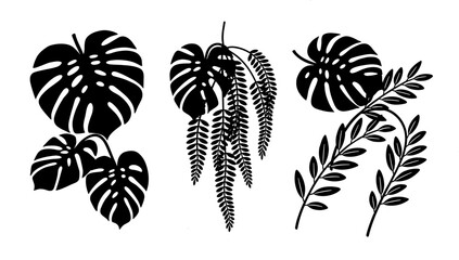 A striking black monstera leaf against a stark white background. Perfect for adding a touch of tropical elegance to websites, social media, or marketi © tordi
