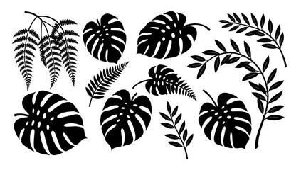 A striking minimalist image of a Monstera leaf. Perfect for adding a touch of natural elegance to branding, website backgrounds, or social media conte © tordi