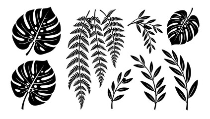 A striking black and white image of a monstera leaf. Ideal for minimalist designs, tropical themes, or adding a natural element to websites and brandi © tordi