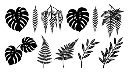 A striking black and white image of a monstera leaf, perfect for adding a touch of tropical elegance to designs or representing natural beauty in well © tordi