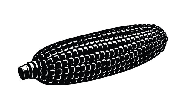 A striking black and white illustration depicts a single ear of corn its kernels meticulously detailed presented as a silhouette high quality professional modern