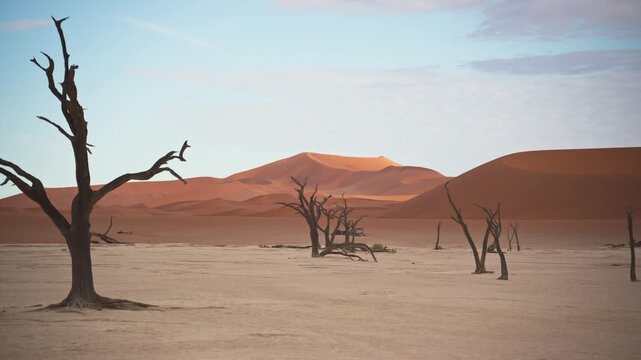 Deadvlei pan in Namibia featuring ancient dead camel thorn trees standing against towering red sand dunes of Namib Desert in Sossusvlei, Namib Naukluft National Park