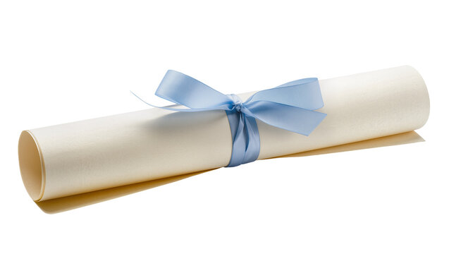 Rolled diploma scroll tied with a light blue satin ribbon, isolated on transparent background