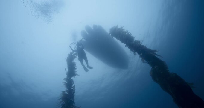 Underwater photographer adjusting camera rig.