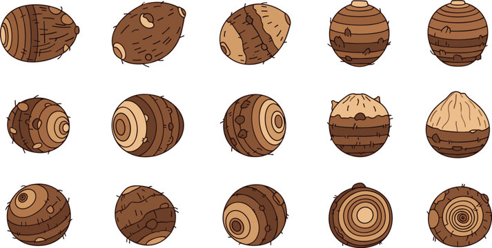 Set of Fresh Raw Taro Root Illustrations Featuring Whole Brown Corms with Textured Skin and Cross Sections for Healthy Nutrition Culinary Arts and Agricultural Designs
