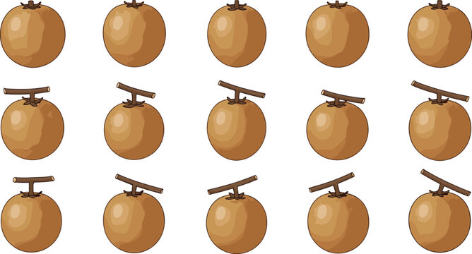 Set of Fresh Sapodilla Illustrations Featuring Whole Raw Brown Fruits with Stems for Healthy Nutrition Tropical Summer Themes and Agricultural Graphic Design Projects