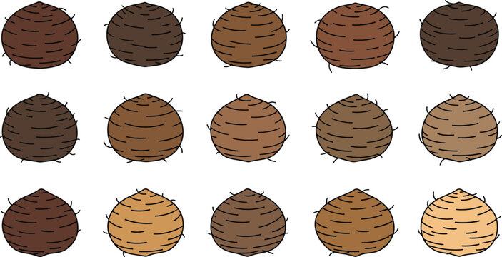 Set of Fresh Raw Taro Root Illustrations Featuring Whole Brown Corms With Textured Skin for Healthy Nutrition Culinary Arts and Agricultural Graphic Design Projects