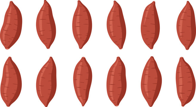 Set of Raw Whole Sweet Potato Illustrations Featuring Reddish Brown Skin Tubers and Root Vegetables for Healthy Nutrition Culinary Arts and Agriculture Graphic Design Projects