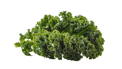 Obraz premium Fresh curly green kale leaves healthy superfood, isolated on transparent background