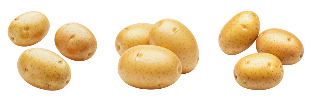 Set and collection of potatoes isolated on transparent png background