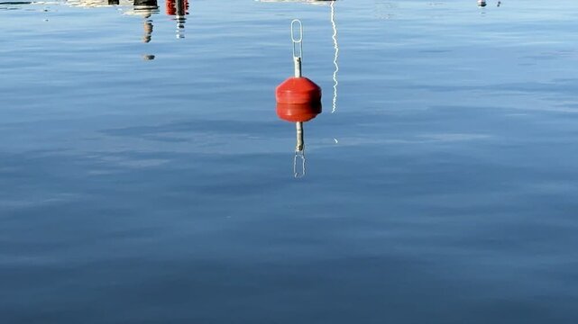 Red buoy in the water at harbor