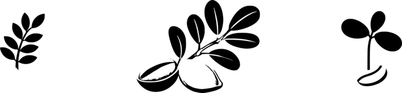 A photorealistic macro shot of a peanut sprout emerging from a golden-brown shell with folded compound leaves, isolated on a pure white background, showcasing the intricate details and vibrant colors