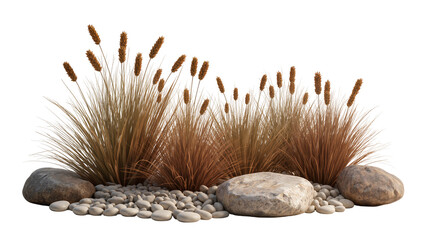 Dry ornamental grasses and smooth river stones, isolated on transparent background © Eoin