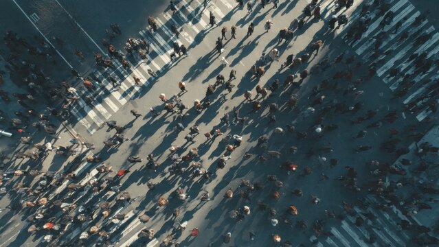 Aerial View of Crowded City Crosswalk