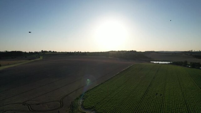 Aerial view of agricultural complex of barns and biogas production domes and storage tanks, bio renewable energy generation from rural panorama landscape Europe