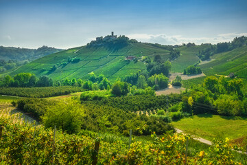 Obraz premium Castiglione Falletto Village and Vineyards in Langhe, Italy