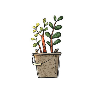 Watercolor Style Vector Succulent Plant in Rustic Metal Bucket Hand Drawn Illustration